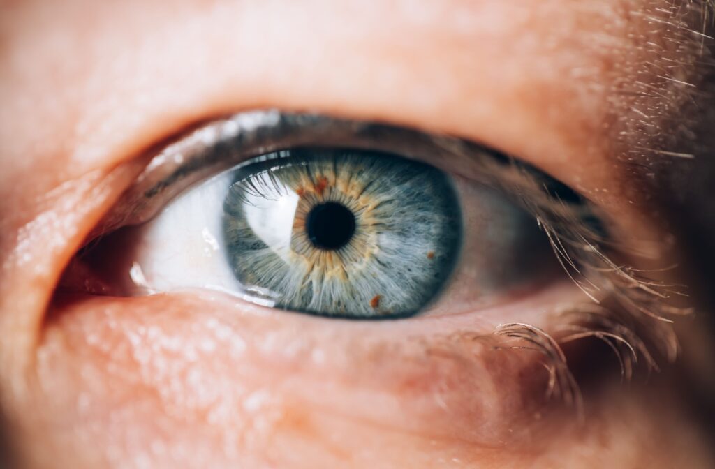 A close-up of a person with blue eyes and a few brown spots across their iris.